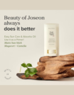 Beauty Of Joseon Matte sun stick MugwortCamelia
